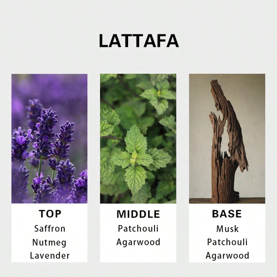 Lattafa Badee Al Oud For Glory – обзор и цена Perfume Long Fragrance