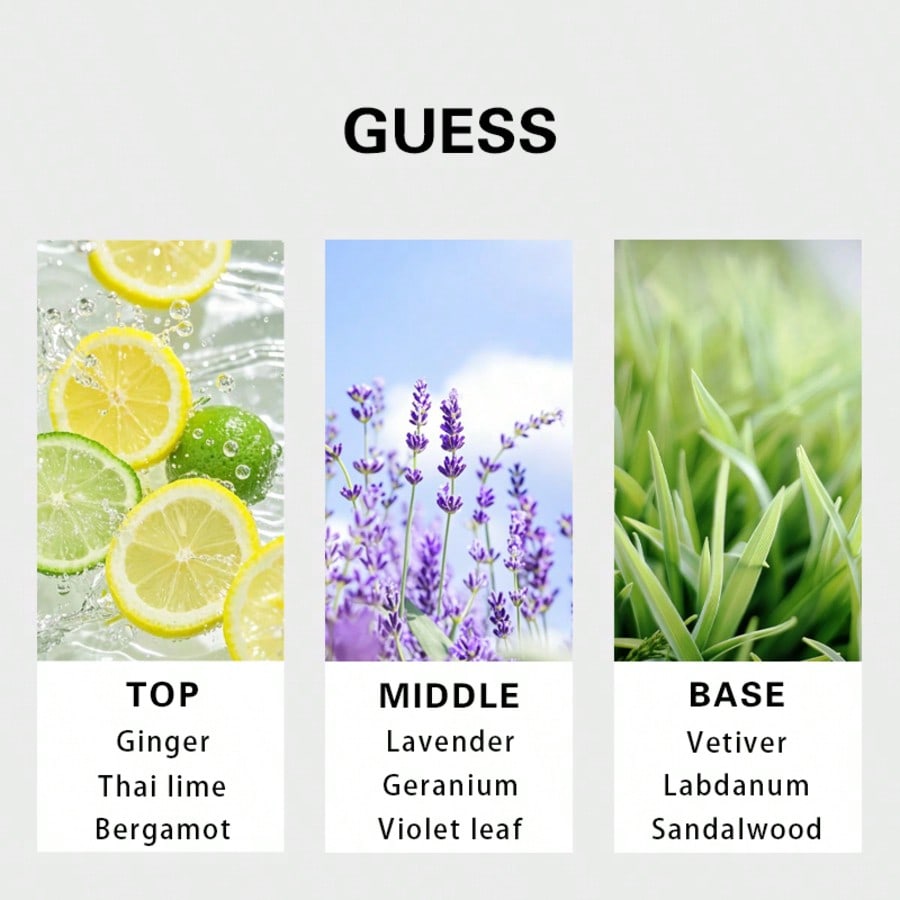 Guess Forever мужская туалетна – обзор и цена Perfume Long Fragrance