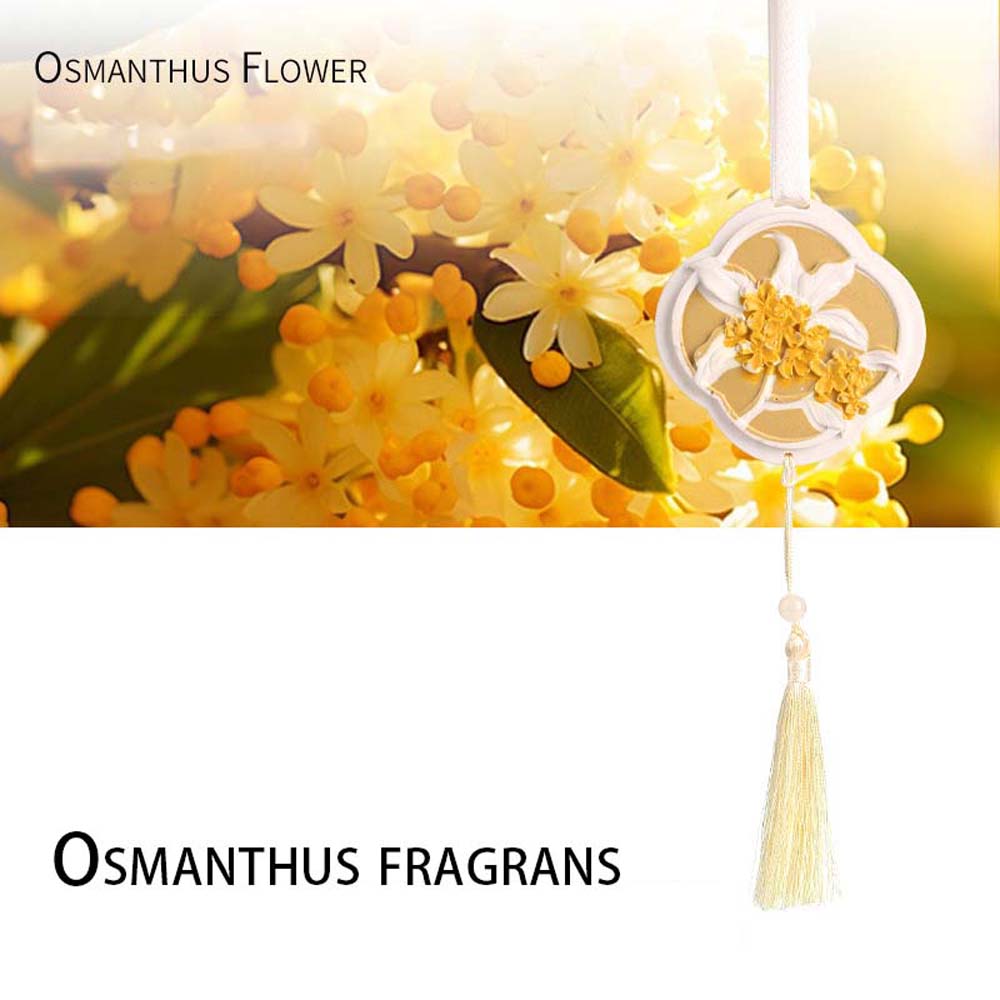 Автомобильный ароматизатор, ку – обзор и цена Perfume Gardenia Fragrance